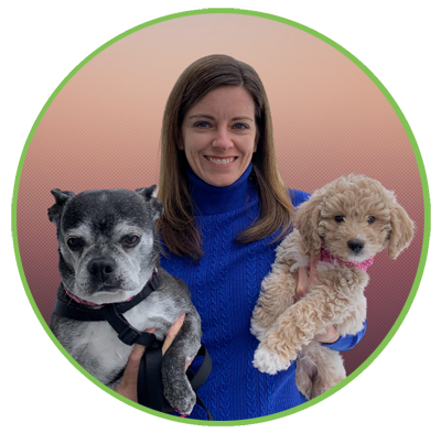 Suzie Civitello, Licensed Veterinary Technician - Springs Family Veterinary Hospital - Saratoga Springs, NY