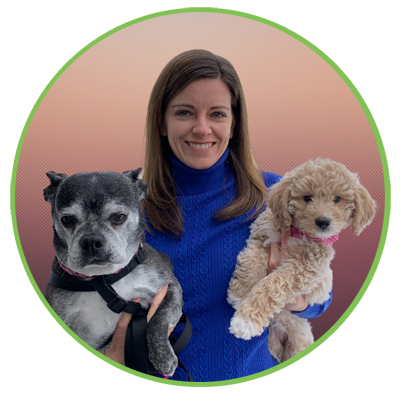 Suzie Civitello, Licensed Veterinary Technician - Springs Family Veterinary Hospital - Saratoga Springs, NY Suzie Civitello, Licensed Veterinary Technician - Springs Family Veterinary Hospital - Saratoga Springs, NY