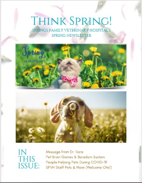 Think Spring Think Spring