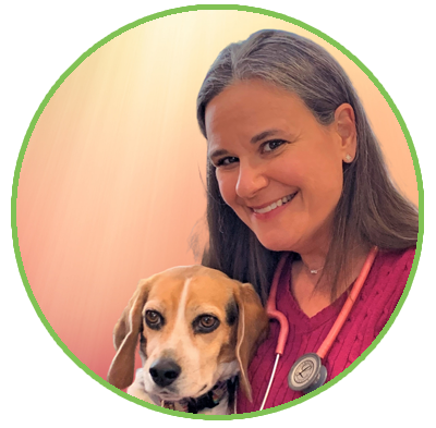 Amy Bergin, Veterinarian - Springs Family Veterinary Hospital - Saratoga Springs, NY