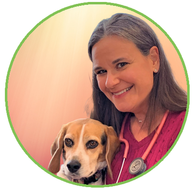 Amy Bergin, Veterinarian - Springs Family Veterinary Hospital - Saratoga Springs, NY Amy Bergin, Veterinarian - Springs Family Veterinary Hospital - Saratoga Springs, NY