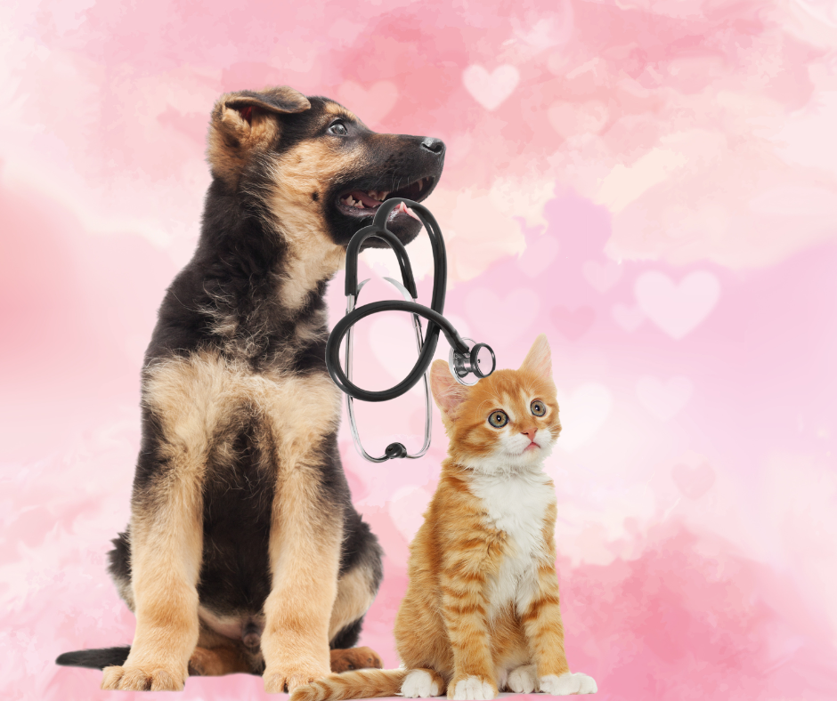 dogcathw