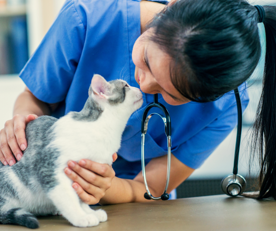 doctor with cat