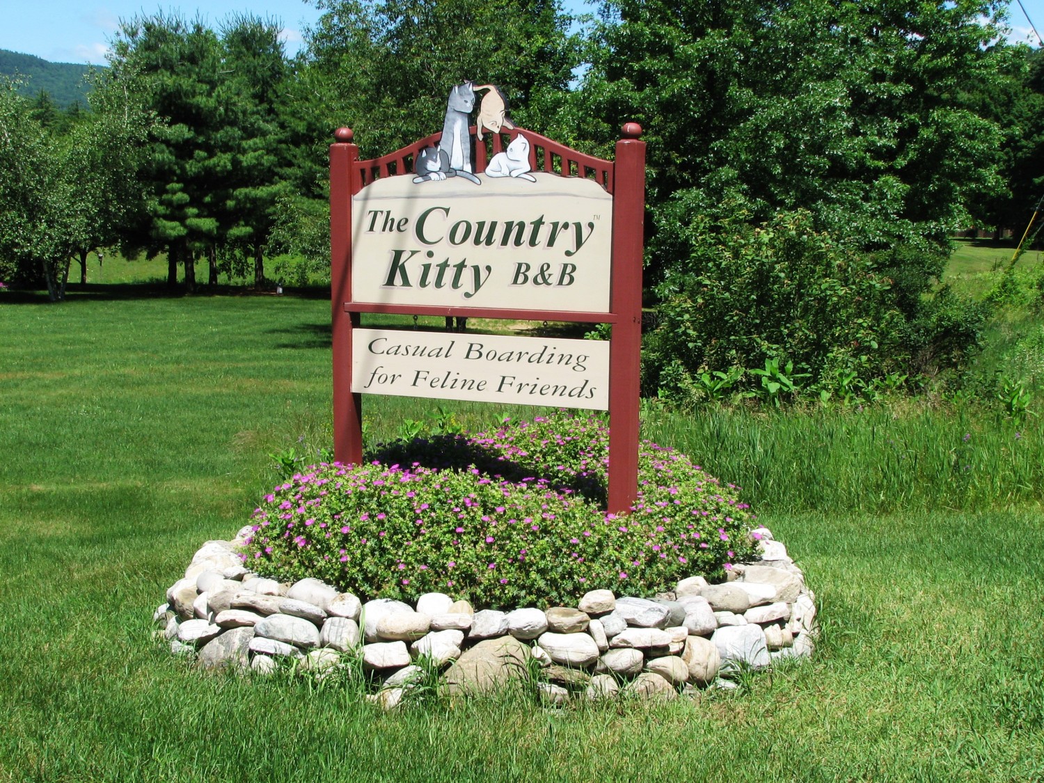 The Country Kitty B&B