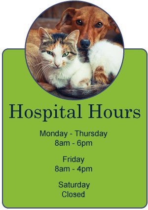 Our Hours